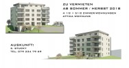 neubau-mfh-weingart-5-naters